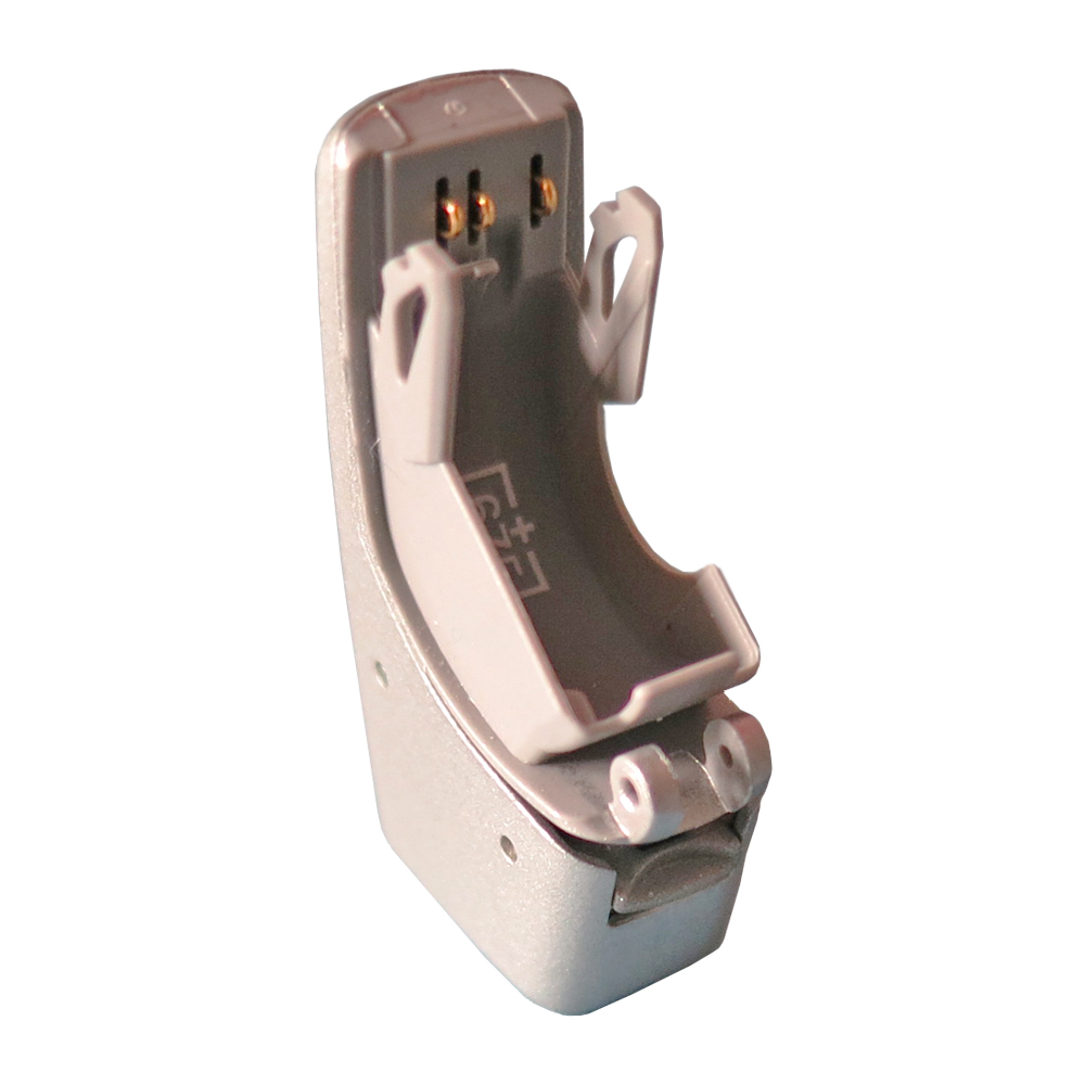 Phonak Direct Input Shoes for Hearing Aids Connevans