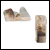 OTICON MLxS only shoe FM6