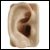 Rubber Ear