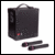 System kit W+70M - Mains Powered Compact 2M with 2 x wireless radio microphones