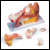 Standard ear model - 6 part