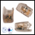 OTICON MLxS only shoe FM5